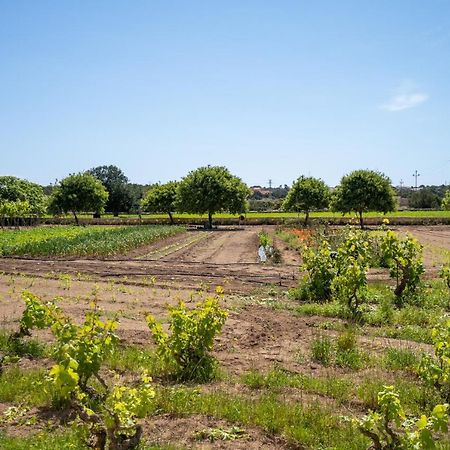 Apartamentos Marcelino - Formentera Break Ес Пухолс Екстериор снимка
