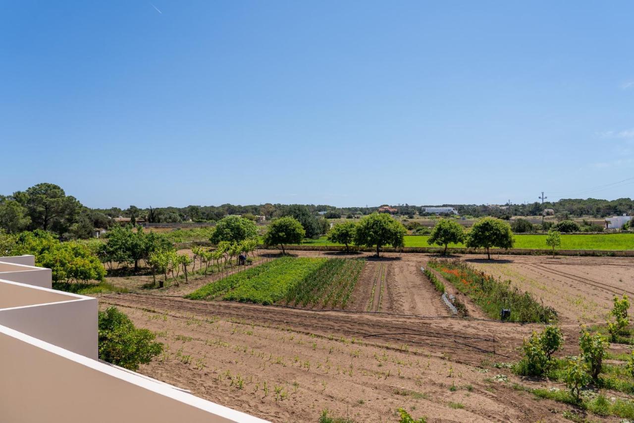 Apartamentos Marcelino - Formentera Break Ес Пухолс Екстериор снимка