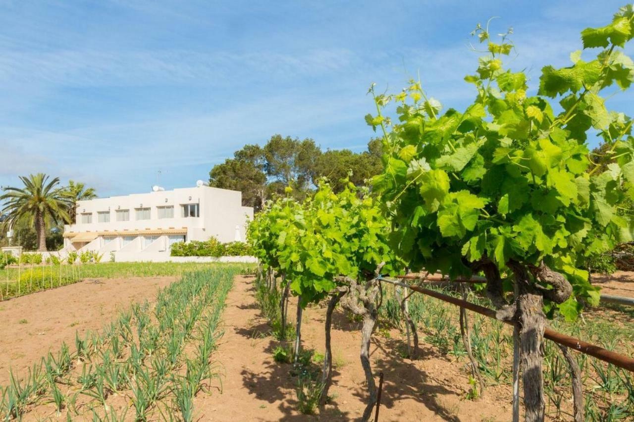 Apartamentos Marcelino - Formentera Break Ес Пухолс Екстериор снимка